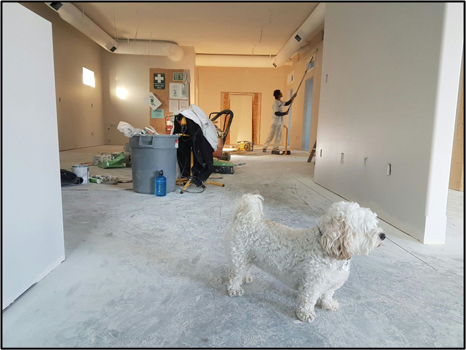 Image3