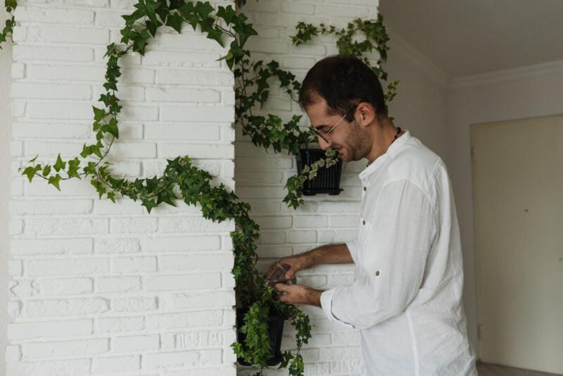 Free A man attentively watering ivy on a white brick wall indoors. Stock Photo