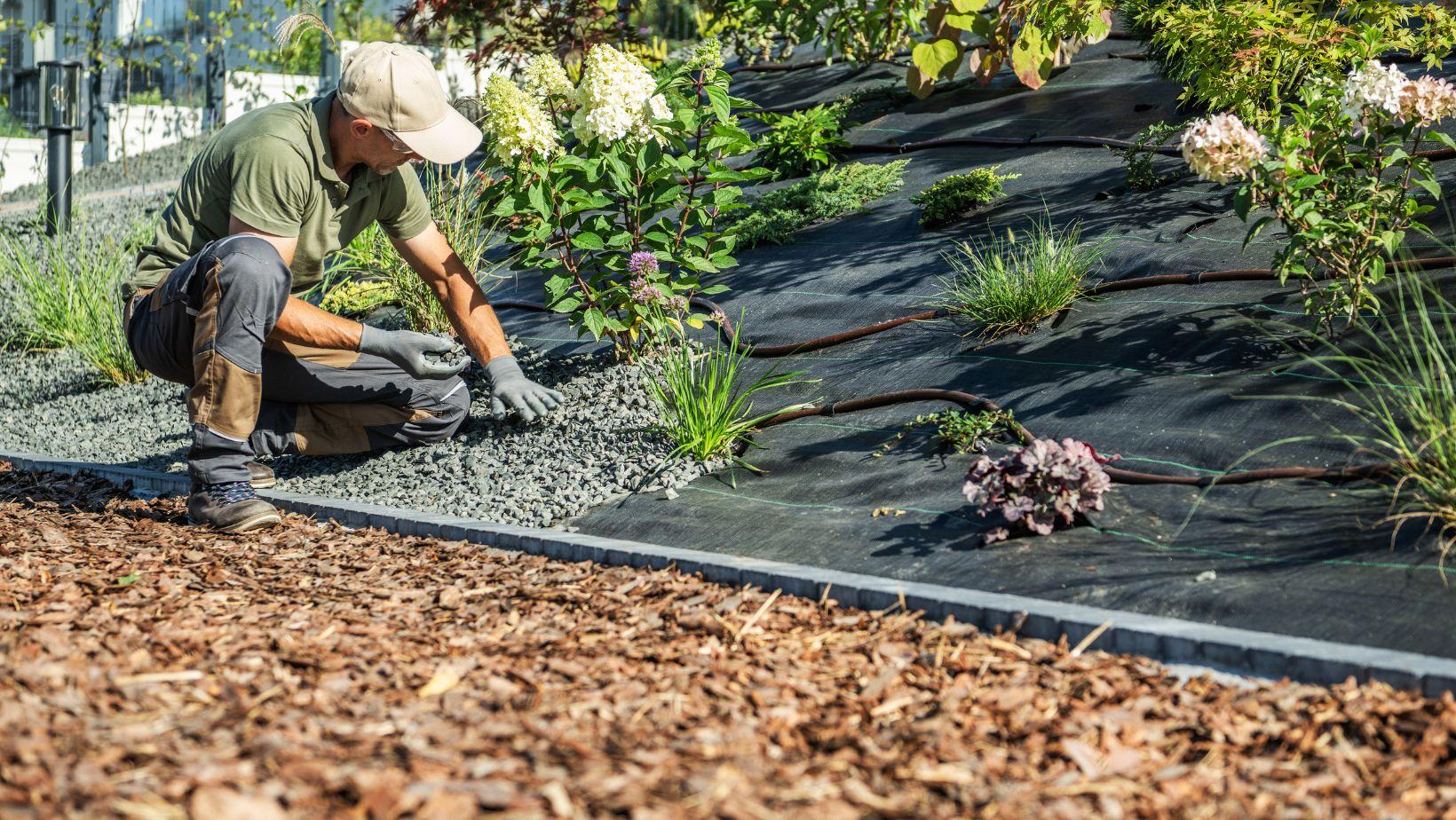 garden makeovers, diy landscaping projects, garden renovation ideas, outdoor landscaping tips, backyard transformation, landscape design diy, garden improvement ideas, increase property value garden, affordable landscaping solutions, backyard makeover tips